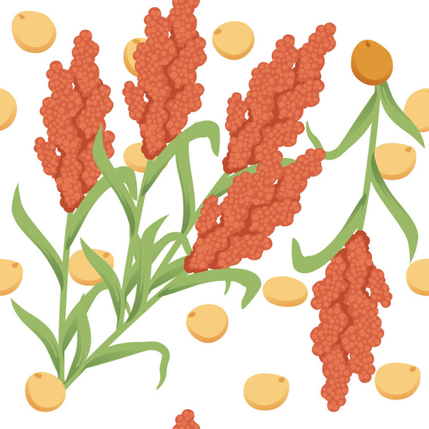 Patrón sin costura Sorgo planta de agricultura con semillas vector de grano ilustración sobre fondo blanco. - Vector, Imagen