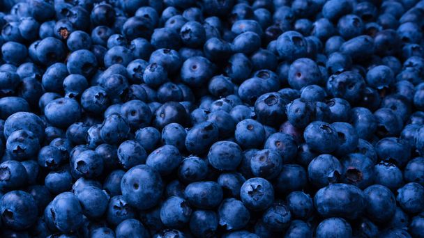 Fresh blueberry as a background. Texture blueberry berries close up. - Foto, Imagem