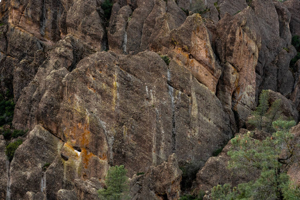 Texture di parete rocciosa e alberi nel Parco Nazionale dei Pinnacoli - Foto, immagini