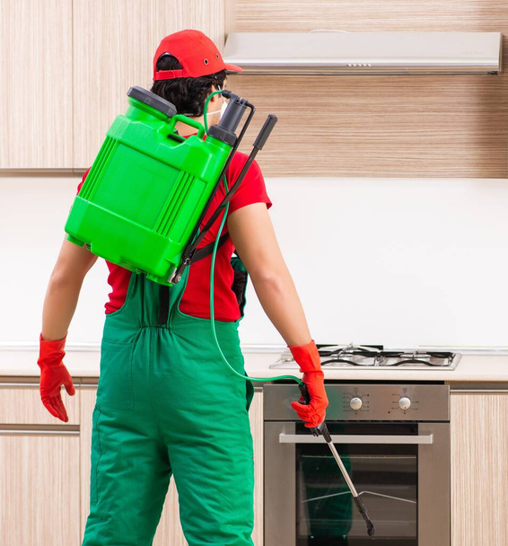 El contratista profesional haciendo control de plagas en la cocina - Foto, Imagen