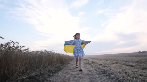 Un drapeau jaune-bleu de l'Ukraine dans les mains d'une petite fille courant dans un champ de blé. Enfant heureux avec le drapeau de l'Ukraine. L'Ukraine est un pays libre. Victoire dans la guerre - Séquence, vidéo