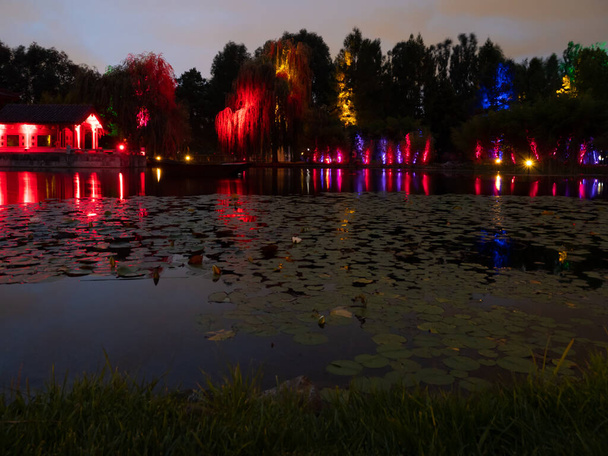 Δέντρα στη λίμνη σε πολύχρωμα φώτα. Φωτεινή παράσταση στο πάρκο. - Φωτογραφία, εικόνα