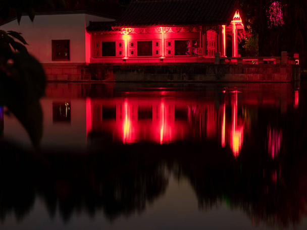 Δέντρα στη λίμνη σε πολύχρωμα φώτα. Φωτεινή παράσταση στο πάρκο. - Φωτογραφία, εικόνα