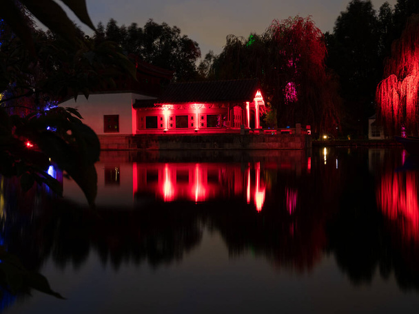 Árvores na lagoa em luzes multicoloridas. Show de luz no parque. - Foto, Imagem