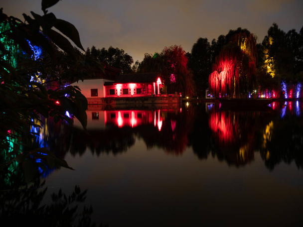 Árboles en el estanque con luces multicolores. Espectáculo de luz en el parque. - Foto, imagen