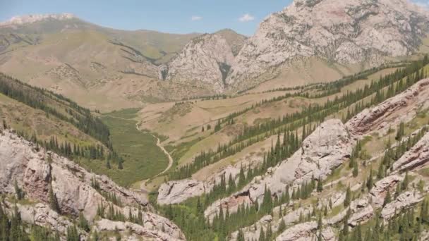 Het uitzicht vanaf de drone is een prachtige kloof met witte en stenige rotsen waaruit sparren en pijnbomen groeien. Bergen in Kazachstan. - Video