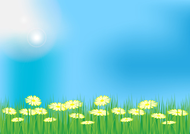 Весняний / Літній фон
 - Вектор, зображення