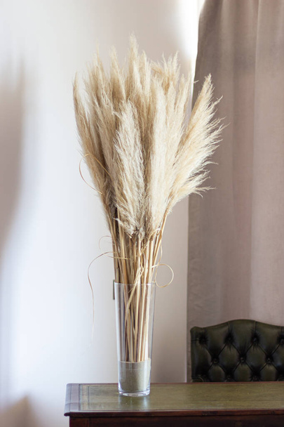 Pampas grass in glass vase against wall. Still life bouquet of dried flowers on stone background with copy space - Image. High quality photo - Fotoğraf, Görsel