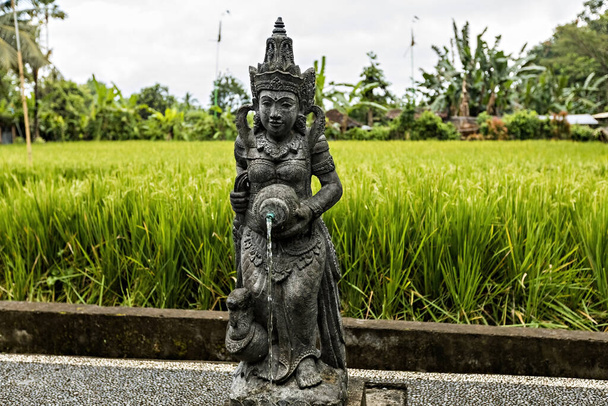 Bohyně socha v indonéské zahradě na Bali s rýžovým polem pozadí. Zahradní socha nalévá vodu na Bali - Fotografie, Obrázek