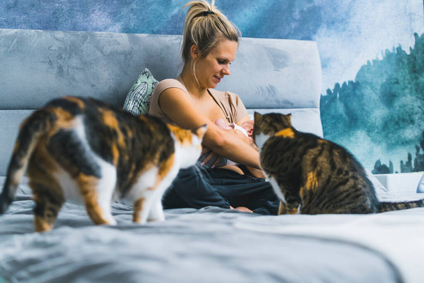 Domestic animals and children concept. Two three-color tabby cats curiously looking at and sniffing their new family member - infant baby held by his casually dressed caucasian mother. High quality - Фото, зображення
