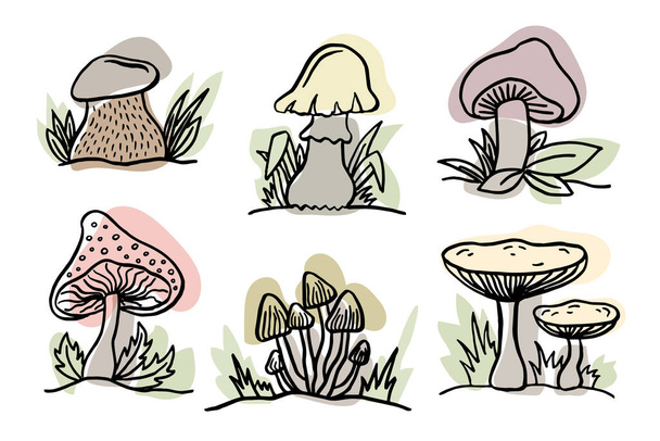 Different Forest Mushrooms or Toadstools with Stem and Cap Isolated on White Background Vector Set. Vector illustration - Vector, Image