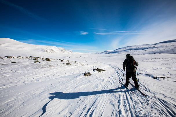 Ski expedition in Dovrefjell National Park, south Norway. - 写真・画像