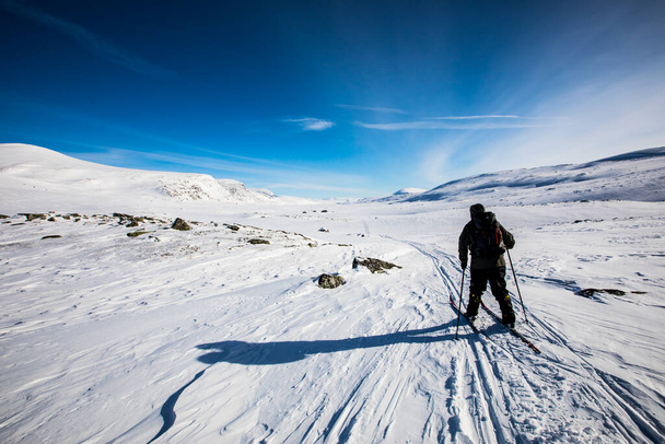 Ski expedition in Dovrefjell National Park, south Norway. - Фото, изображение