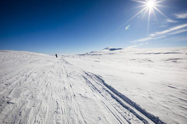 Ski expedition in Dovrefjell National Park, south Norway. - Фото, зображення