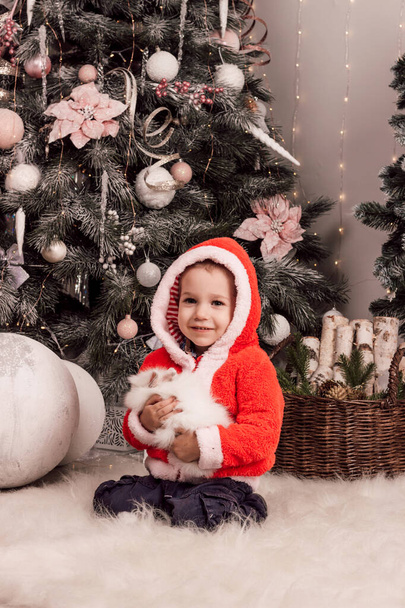 Mały chłopiec w kostiumie Świętego Mikołaja siedzi obok choinki z białym królikiem w rękach. Wysokiej jakości zdjęcie - Zdjęcie, obraz