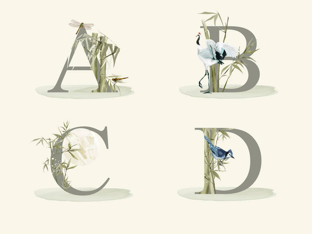 alphabet with bamboo hand drawn isolated - Vector, afbeelding