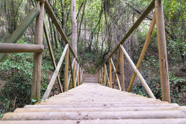 Old, wooden bridge over the river in a forest (Greece, Peloponnese) on a sunny summer day. - Photo, Image