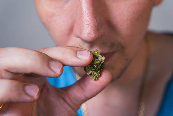 Erwachsener Mann mit medizinischen Marihuana-Knospen in der Hand, aus nächster Nähe. Konzept der pflanzlichen und alternativen Medizin - Foto, Bild