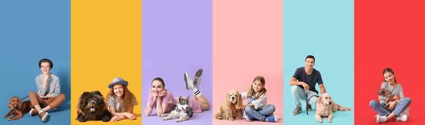 Набір людей зі своїми собаками на барвистому фоні
 - Фото, зображення
