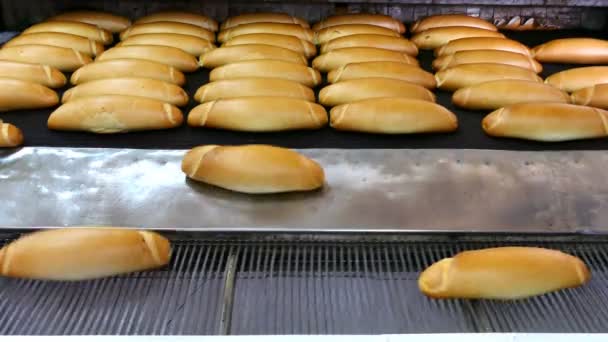 Pan blanco recién horneado en el horno; El pan recién horneado sale del horno en la industria de panadería - Metraje, vídeo