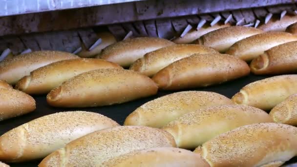 Industria panadera: el pan recién horneado sale del horno en la industria panadera - Imágenes, Vídeo