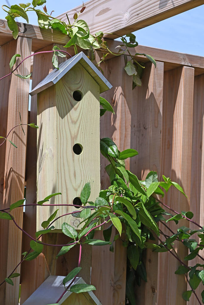 Casas de madera natural para pájaros en un entorno de jardín. Foto de alta calidad - Foto, imagen