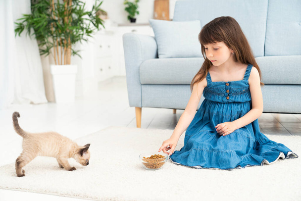 A cute little girl sits in a room on a carpet and feeds a little kitten. Children and animals, pet care concept. High quality photo - Fotó, kép