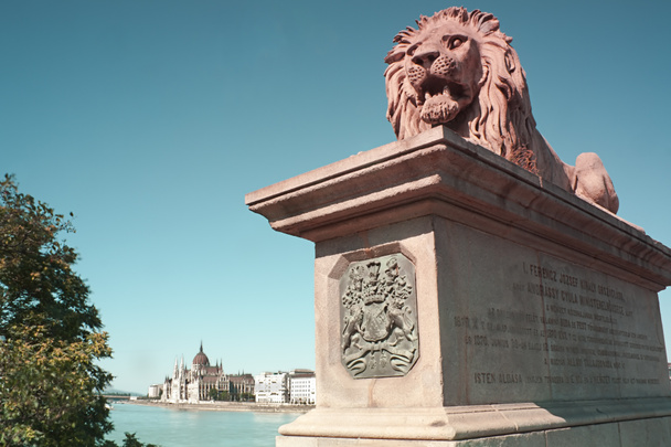 Pomnik Lwa, kontroli nad pięknym modrym Dunajem i węgierski Parlament - Zdjęcie, obraz