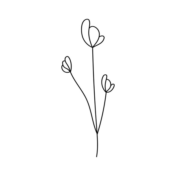Illustration of a flower, silhouette of a twig with flowers and leaves. Vector illustration. Floral print. - Vektori, kuva