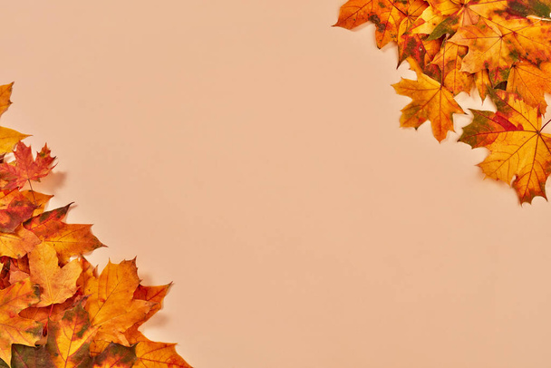 Autumn leaves on orange background - Photo, Image