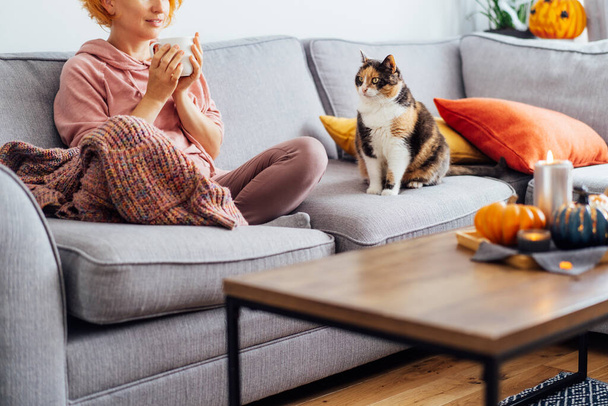 Unrecognizable woman in plaid holding cup of tea or coffee, watching movie, TV with multicolored cat on the sofa at home, decorated for fall holidays. Cozy and comfortable autumn. Selective focus - Fotó, kép