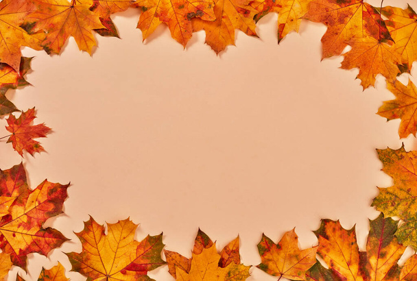 Herfstbladeren op oranje achtergrond - Foto, afbeelding