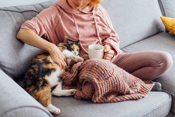 Close-up woman in a plaid drinking hot tea, petting a relaxed cat on the sofa at home. Cozy and comfortable winter or autumn weekends. Pleasant ways to keep warm. Take a break and relax. - Fotoğraf, Görsel