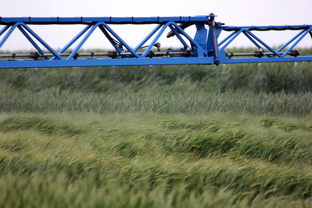 Sprayer behandelt Weizen - Foto, Bild
