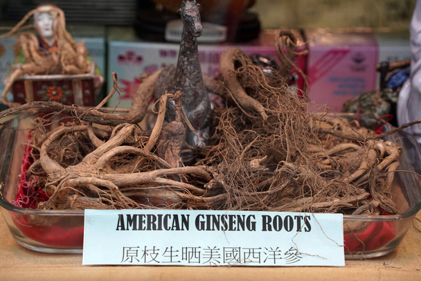 chinatown new york racine de ginseng américain dans la boutique à base de plantes - Photo, image