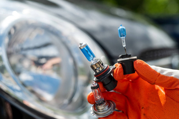 Auton huoltomiehet pitävät halogeenilamppua ajovalon korjaamiseen tai vaihtamiseen. Auton korjauskonsepti. Mies vaihtaa lamppua. - Valokuva, kuva