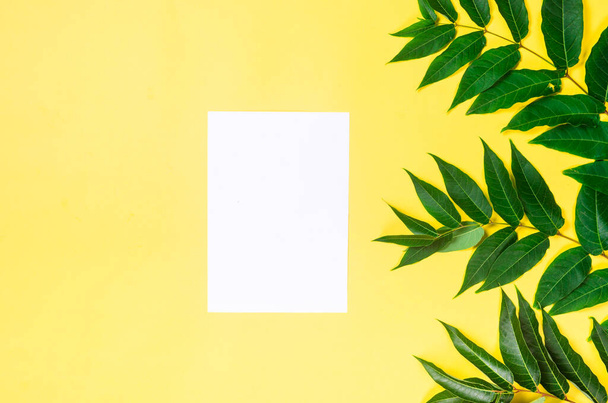 Empty white card with grassy foliage on yellow paper background. Minimalist backdrop background for mockup. Summer background with a pattern of highlights. Flat lay, nature concept, mockup - Foto, imagen