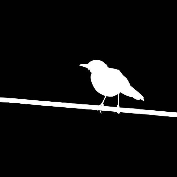  Sylwetka stojącego ptaka na bazie przewodów elektrycznych na mojej fotografii. Ilustracja wektora - Wektor, obraz