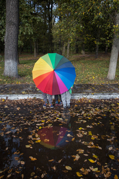 drie onherkenbare kinderen verborgen zich achter grote regenboogkleurige paraplu. Reflectie in plas bezaaid met geel gevallen bladeren. herfstsfeer. symbool van regenseizoen, nat herfstweer - Foto, afbeelding