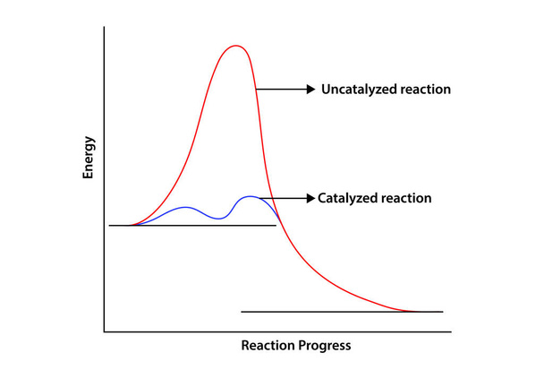 Energia reakcji katalizowanej i niekatalizowanej - Wektor, obraz