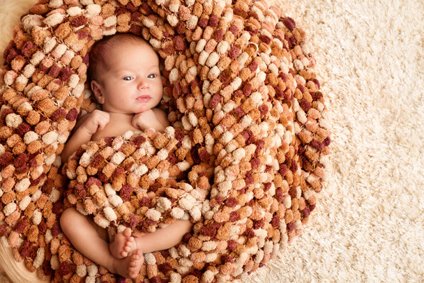 New Born Baby wrapped in Woolen Blanket, Newborn Child lying in Nest. Cute Infant over beige Fluffy Carpet Background - Foto, Imagen