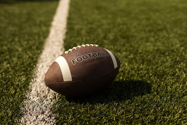 American football ball on the grass of a stadium. - Fotó, kép