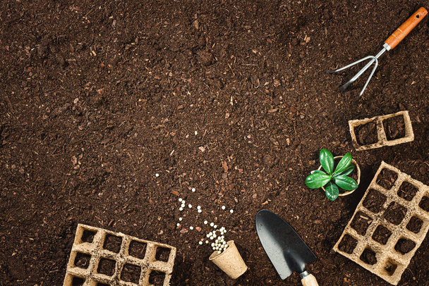 Gardening tools on fertile soil texture background seen from above, top view. Gardening or planting concept. Working in the spring garden. Flat lay mockup with border composition - Foto, Bild