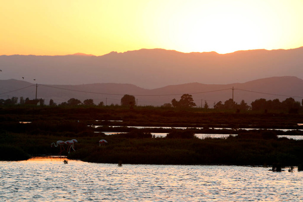 Delta del Ebro, Espaa, hermosa puesta de sol.  - Foto, Imagen