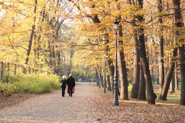 Couple having a walk in Borisova gradina park in Sofia, Bulgaria - Foto, Imagem