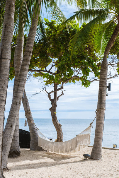 Bílá houpací síť pod palmami na tropické pláži v Thajsku Hua Hin. Tropická pláž v Huahin s houpací síť u oceánu na bílé pláži - Fotografie, Obrázek