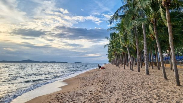 Dongtan Beach Pattaya Jomtien Thaimaa, palmuja rannalla auringonlaskun aikana.  - Valokuva, kuva