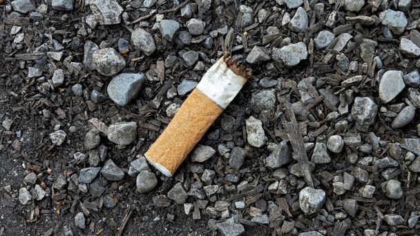 carelessly discarded cigarette butt - Foto, Imagen