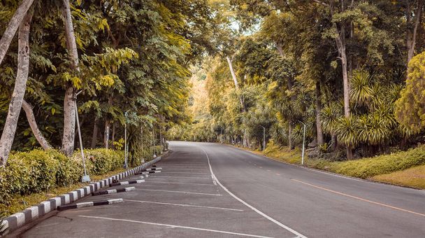 Δάση και δρόμος στο πάρκο Ubonrat Dam, επαρχία Khon Kaen, Ταϊλάνδη - Φωτογραφία, εικόνα