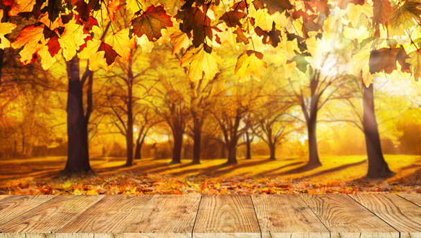 オレンジの葉を持つ木製のテーブル秋の背景 - 写真・画像